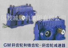 GM斜齒輪、錐齒輪減速器